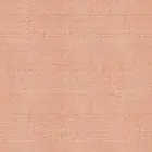 Тэфи 10, морковный